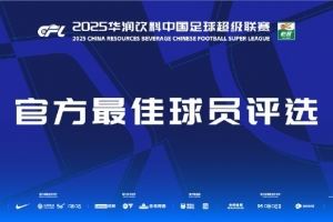  中超第24轮最佳球员候选：瓦科、刘若钒、哈达斯、钟义浩、茹子楠