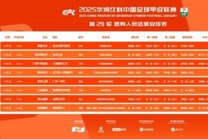  中甲第29轮裁判：邢琦吹重庆铜梁龙vs苏州东吴，5场比赛设有VAR